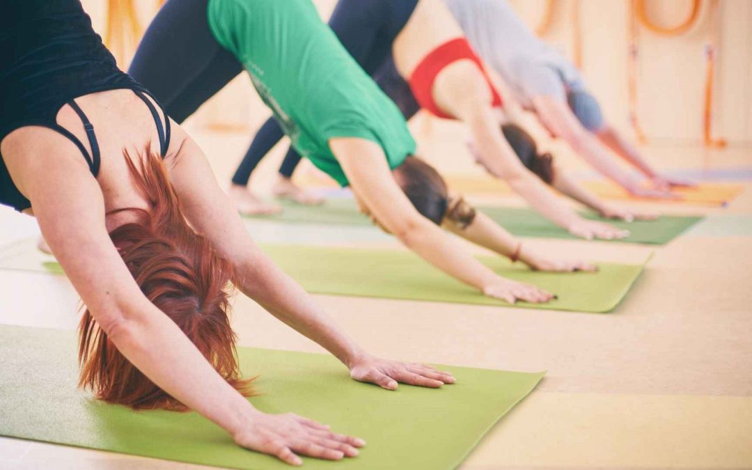 10 Best Yoga Studio In Charlotte